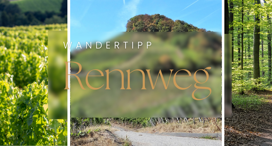 WanderTipp: Auf dem Rennweg durch die Haßberge